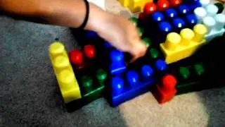Hamster race Level 6