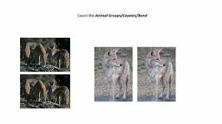 Fun With Numbers by Adding Ways to Make 4 With Animal Groups (4 Videos) #1