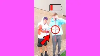 ЖИВОТНЫЕ &mdash; ДРУЗЬЯ! ❤ #Shorts