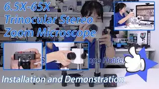 6.5X-65X Trinocular Stereo Zoom Microscope (6565-B1), PCB Soldering Repair Tools
