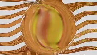 Zoopals! In Cosmic Sphere