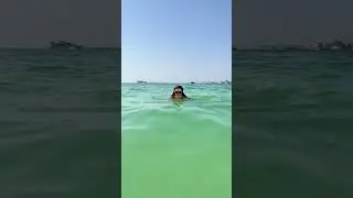 Girl swimming at the Dubai Jumeirah Beach #shorts