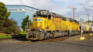 UP Vancouver Local With SD40N & GP40-2 & BN Leading The Camas Local (Railfanning 10-27-2025)
