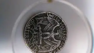 1981 D Quarter
