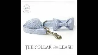 blue striped dog or cat collar set with bow tie and leash