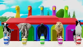 5 Giant Duck Cartoon, Cow, Elephant, Lion, Dinosaur, Paint Wild Animals Crossing Fountain Animations