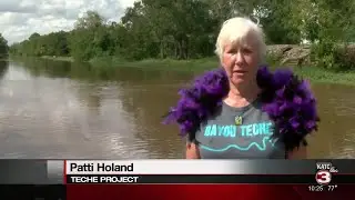 Shake your Trail Feather paddle trail on Bayou Teche