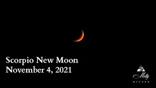 Scorpio New Moon ♏ - Powerful Growth + Foreshadowing 2022 Energies and Themes