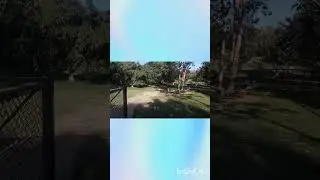 Парк для больших и маленьких собак на улице Шафтсбери. Приятного отдыха 🙂.