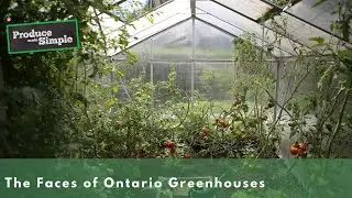 The Faces Behind Ontario Greenhouse Growers| Produce Made Simple