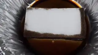 Porelon Oil Absorption