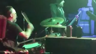 Hummingbird of Death punks picnic 2023