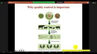 Feed Processing Quality Control