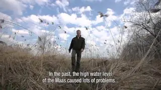 Climatebuffers in the Netherlands