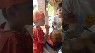 Segarnya Air Kelapa Muda