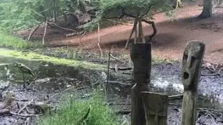 Offermosen (Jernalder) - Sagnlandet Lejre