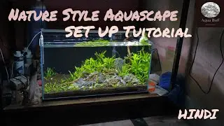 MID BUDGET Aquascape Setup | NATURE STYLE Planted Tank in Hindi | 4k
