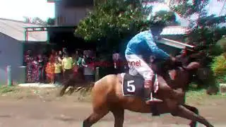 kudabalap di pacuan kuda sumedang