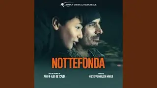 Ectoricordi