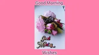 Good Morning Wishes 🌅💞