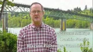 Preventing an Invasive Mussel Nightmare