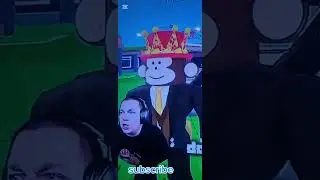 Phunks steal a brainrot