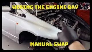 Manual swap honda odyssey - Engine bay wiring (What nightmare have i gotten my self into!!)