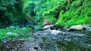 Meditative Brook Sounds &ndash; For Quiet Mind & Deep Rest