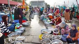 Amazing Cambodia Vlog -  Fresh Seafood @ Kampot Pot & Street Market Food @ Boeng Trabek