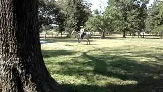 Lacy on the ranch (part 2)