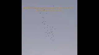 Kabhi shaam patang udate udate aati thi&hellip;#kiteflying #patangbaazi #makarsankranti