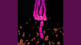 1000 ROSES