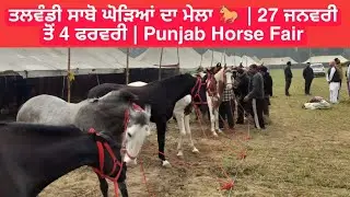 ਤਲਵੰਡੀ ਸਾਬੋ ਘੋੜਿਆਂ ਦਾ ਮੇਲਾ 🐎 | 27 ਜਨਵਰੀ ਤੋਂ 4 ਫਰਵਰੀ | Punjab Horse Fair