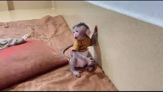 Cutiest koi wo0rrii walk & walk Callinq mom with her crispy voice