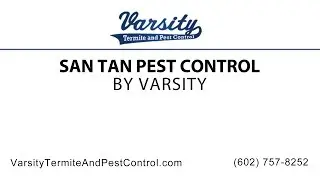 San Tan Pest Control | Varsity Termite & Pest Control