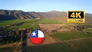 Vi&ntilde;as valle de casablanca drone Chile 4K!