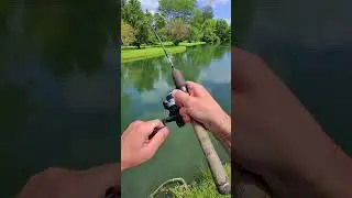 Let&rsquo;s fish with a HOTDOG 🐟🎣 #fishing #fish
