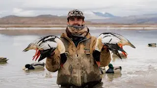 Duck Hunting a Mud Flat River in the Mountains!