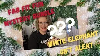 Fab Fit Fun Mystery Bundle #1 Winter 2022: Perfect White Elephant Gift