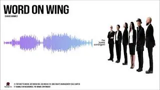 The Bowie Contingent - Word On A Wing