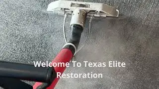Texas Elite Restoration | Carpet Cleaning in Harlingen, TX