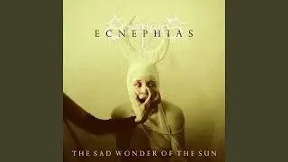 Sad Summer Night