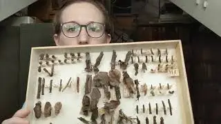 Super Science: What is a Bioindicator? with Colleen Evans