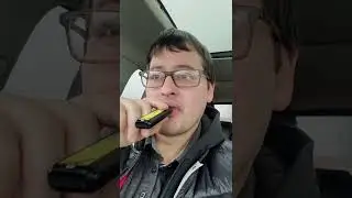 Breeze Pro Lemon Mint Review