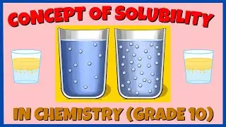 The Concept of Solubility in Chemistry