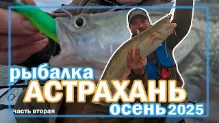 Рыбалка Астрахань осень 2025 часть вторая