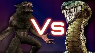 Werewolf Vs Yawn the Snake - Resident Evil HD Remaster
