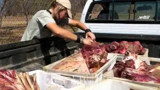 Hoedspruit Endangered Species Centre (HESC) Feeding Time