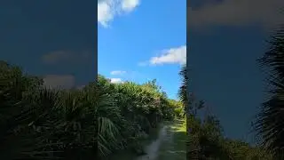 Key Biscayne Hiking Trail #keybiscayne #miami #nature #walk #asmrwalking #hiking #relaxing #peaceful