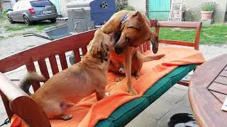 Bisschen Spa&szlig; muss sein 🤗🤗🤗